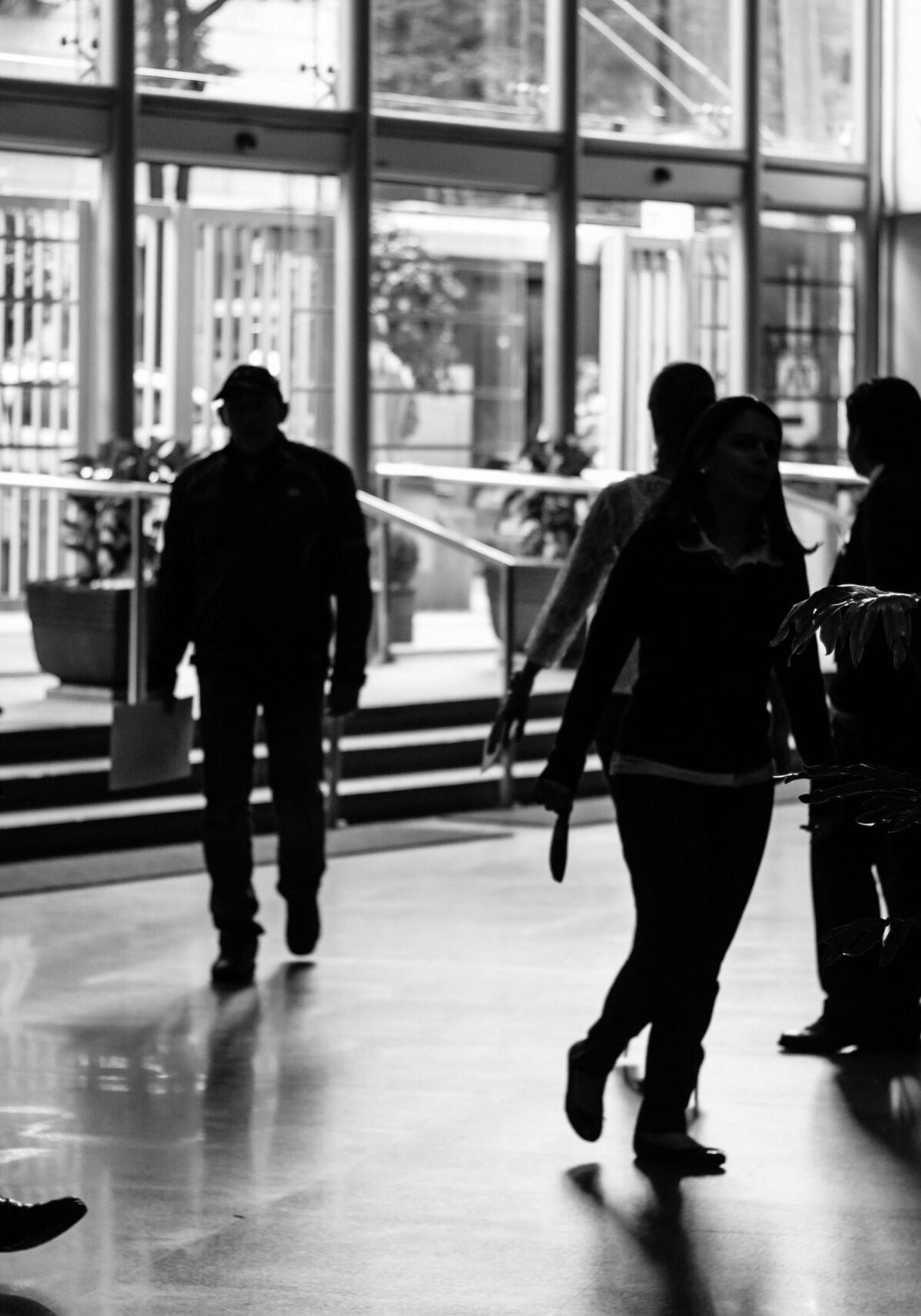 pexels-hikaique-114797